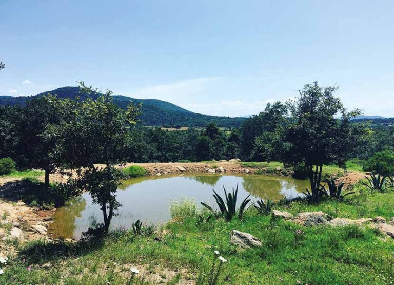 Acampa en la Laguna de Servín, Querétaro: un oasis natural