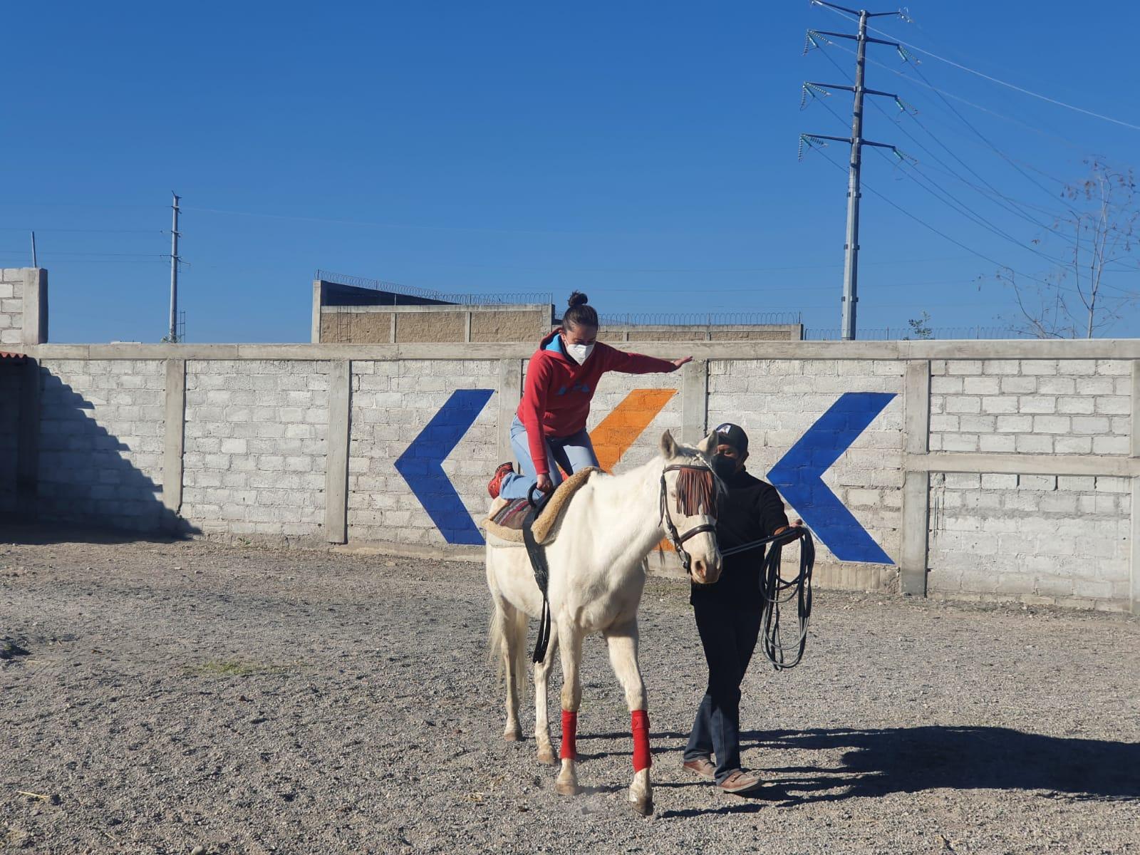 Aprende a montar a caballo con nuestras clases de equitación en Querétaro