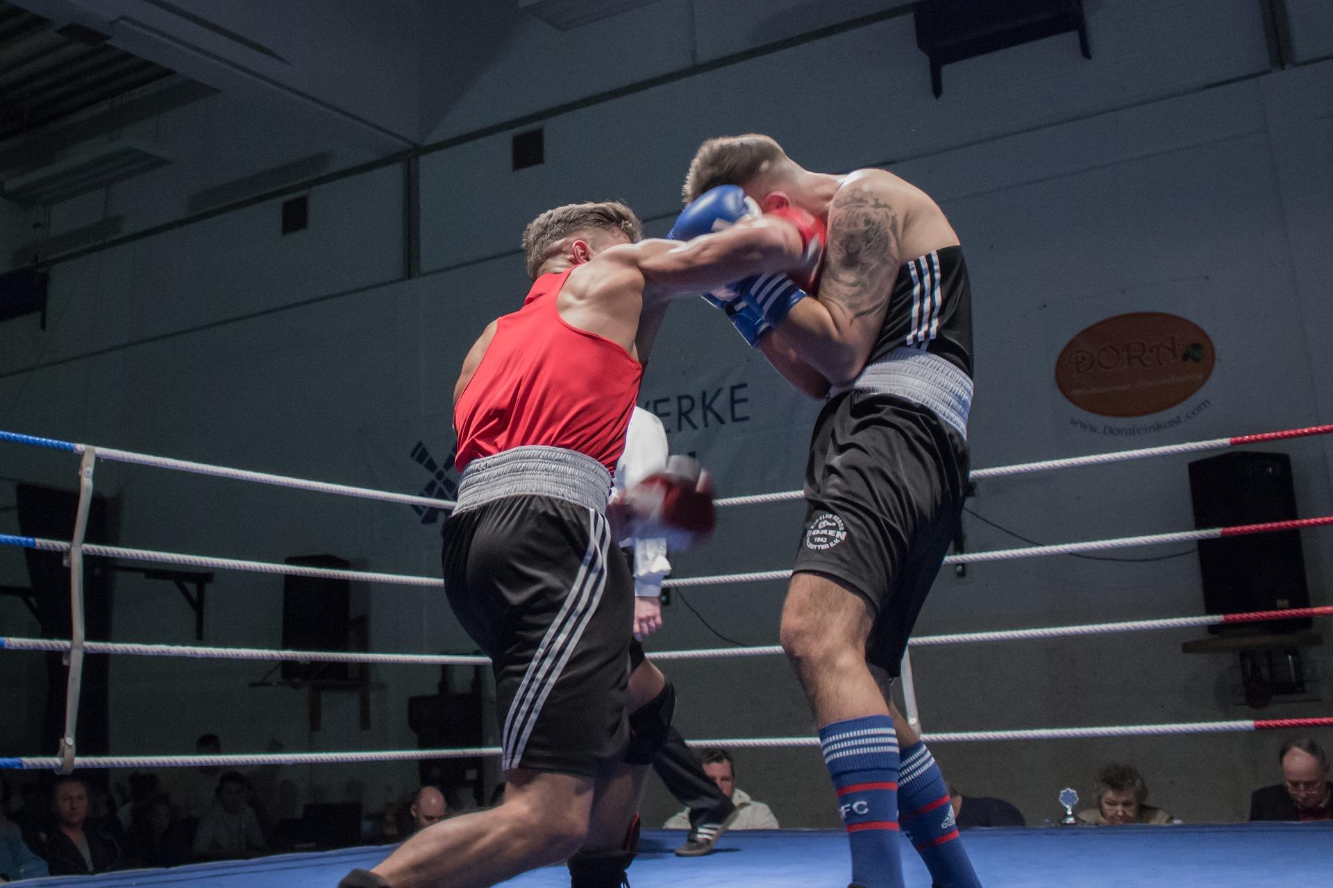 mejores escuelas de boxeo en queretaro